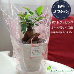 【有料ラッピングサービス】 3～4号鉢用 ミニ ラッピング 包装 贈り物 誕生日 包装 御祝 お祝い 敬老 [オプション] 送料無料