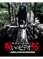 2025年最新】ほんとにあった 呪いのビデオ BOX DVDの人気