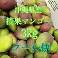 摘果マンゴー　グリーンマンゴー　青マンゴー　3kg