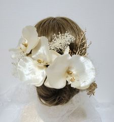 胡蝶蘭　成人式　髪飾り　結婚式　プリザーブドフラワー　アイボリー