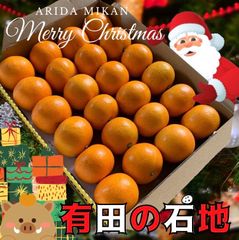 いしじみかん　お試し　コンパクト便発送