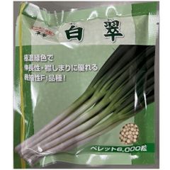 カネコ種苗　白翠　葱　ペレット  ６０００粒