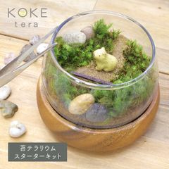 苔テラリウム 手作り キット カピバラ