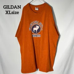 【GILDAN】XL フランコーニア•ノッチ州立公園　アニマル　プリントロゴ　オーバーサイズ　半袖Tシャツ　霜降り　オレンジ　US古着