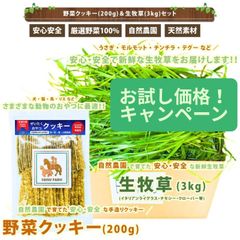 [夏季限定！クール便発送] うさぎ おやつ 天然素材手作りクッキー 200g  牧草 国産とれたて 大容量 3000g 3kg ( イタリアンライグラス クローバー オーツ ソルゴー ) 自然農法 有機野菜 無添加 無着色 ペット用 犬 猫 ハムスター 馬