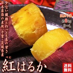 さつまいも 紅はるか 約5kg 訳あり品 千葉県・茨城県産 家庭用 濃厚な味わいの薩摩芋！お求めやすいお値段でお届け
