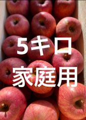 青森県産りんご葉取らずさんフジ家庭用5キロ