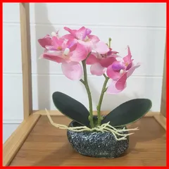 【数量限定】緋.) (石鉢 敬老の日 プレゼント お開店祝いギフトに最適 新築祝い 胡蝶蘭 胡蝶蘭 シルクフラワー フェイク 石鉢インテリア 船型の鉢植 卓上型 光触媒加工 造花 人工観葉植物