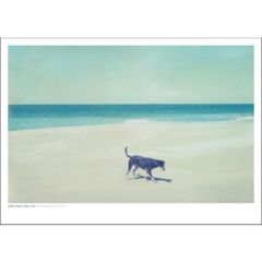 Charlotte Dumas写真集「REPOSE」狼 犬 競走馬 サーカス 虎 - メルカリ