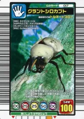 希少 ムシキング 幼稚園限定 017-YCE グラントシロカブト ネブ博士 甲虫王者 ムシキング 017-S1 グラントシロカブト（ネブ博士スペシャル
