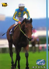 【現地的中】単勝馬券 第19回 帝王賞 ホクトベガ ホクトベガ 19回帝王賞 大井競馬場 現地 単勝馬券