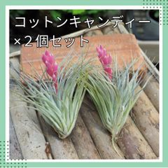 yUuCLoxbxjUiWFFcFdXzWB.jpg@jpg