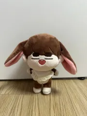 SHINee オニュ ぬいぐるみ 40cm SHINee オニュ 15cm ぬいぐるみ DOLL ジンニャン レインコート