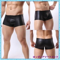 メンズ ランジェリー 大人 成人 男性用 ボクサー エロ メンズショーツ ボンテージ ボクサーパンツ つや消しブラック 艶消し ツヤ消し 3サイズ M L XL セクシー コスプレ 宴会