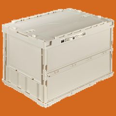 yVLBbYTSj7sT3Uj5UXu9bB.jpg@jpg