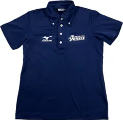 徳島ヴォルティス トレーニング ジャケット ミズノ L 実使用 ジャンパー 2025年最新】ヴォルティス ミズノの人気アイテム - メルカリ