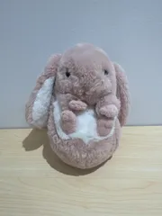 2025年最新】サンレモン うさぎの人気アイテム - メルカリ