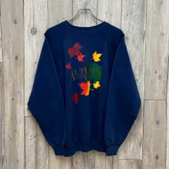 OLD Hanes 90s ヘインズ ラグラン スウェット トレーナー XL