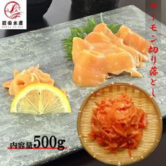 【訳あり】サーモン切り落とし　500ｇ　お刺身用　冷凍　端材　Ｂ品　わけあり　トラウトサーモン　鮭　サケ　さけ　母の日　父の日　お中元　敬老