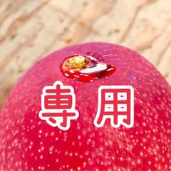 専用品
