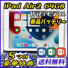 【準美品】iPad Air2 64GB Wi-Fiモデル 新品バッテリー