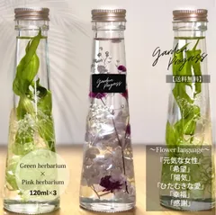 2024年最新】Herbarium ハーバリウム Bottleの人気アイテム - メルカリ