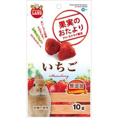 （まとめ買い）マルカン 果実のおたより いちご 10g 小動物用フード 【×12セット】