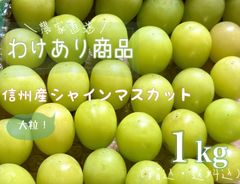 長野産生プルーン サンタス 1kg 農家直送- メルカリ