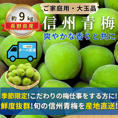 信州青梅 ～爽やかな香りと共に～【内容量】約9kg【配送方法】クール配送【サイズ】L以上【品目】梅（うめ）【品種】当店お任せ【産地】長野県【規格】ご家庭用A品B品混合【詰め方】 バラ詰め【配送までの日数】1～4日