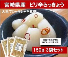 【宮崎のお漬物】ピリ辛らっきょう150ｇ　3袋　らっきょう出荷日本一人気の一品