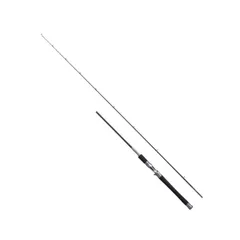 ワールドシャウラ1651  新品未使用 2025年最新】ワールドシャウラ 1651の人気アイテム - メルカリ