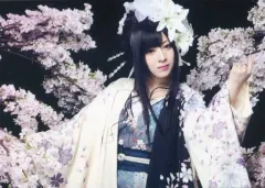 2026年最新】鈴華ゆう子の人気アイテム - メルカリ