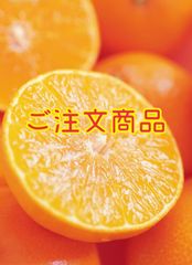 ご予約専用商品