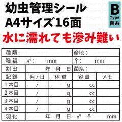 幼虫管理ラベルB「菌糸」16面10シート160枚 オオクワガタ飼育用品 クワガタ