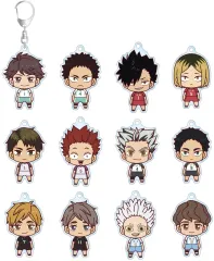 【中古】キーホルダー 全12種セット 「ハイキュー!! トレーディング ちょこんと！ アクリルキーホルダー ver.B」