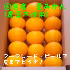 農薬不使用、ノーワックス　夏みかん　4.8kg