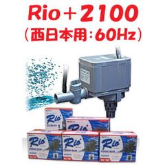 カミハタ Ｒｉｏ＋２１００ (西日本用：６０Ｈｚ) 水中ポンプ リオプラス 水槽用