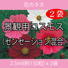 花のタネ EAI コスモス（センセーション混合） 2.5ml x 2袋