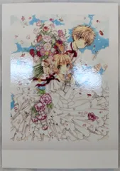 CLAMP展 ぱしゃこれ カードキャプターさくら 2BOX