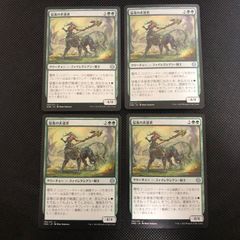 MTG TOR 取り憑かれたケンタウルス 日本語版 4枚 - メルカリ