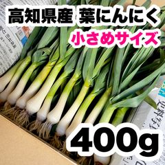 高知県特産‼️葉ニンニク 400g 即購入OK