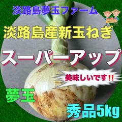 レンゲ米 淡路島産令和5年新米 10kg キヌヒカリ 無洗米 れんげ米 減