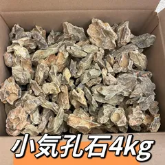 2025年最新】気孔石の人気アイテム - メルカリ
