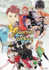 2025年最新】SPORTIVA ハイキュー ビジュアルボードの人気