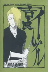 【中古】ポストカード 吉良イヅル 「BLEACH 扉絵ポストカードコレクション」
