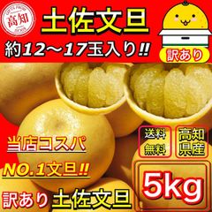 土佐文旦 5kg サイズお任せ (約12〜17玉）訳あり 高知県産 5キロ