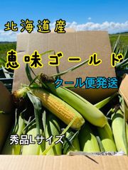専用出品になります。