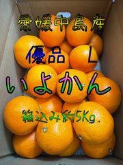 いよかん　優品L　箱込み約5Kg.