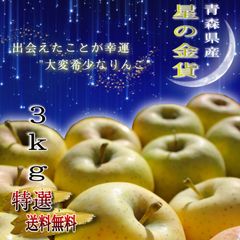 青森県産 星の金貨 りんご【特選3kg】【送料無料】【農家直送】リンゴ