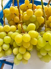 2026年最新】完熟シャインマスカットの人気アイテム - メルカリ